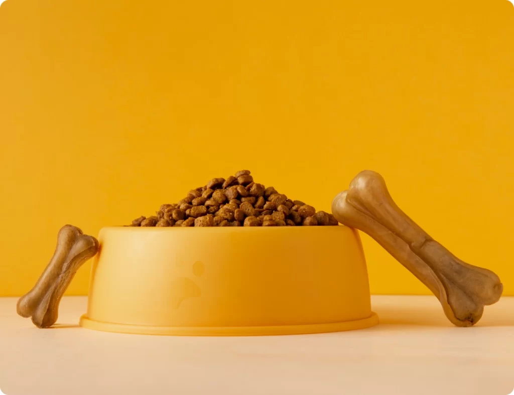 ciotola del cane con crocchette e due ossa come snack
